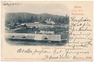 1899 (Vorläufer) Baiascheskul, Bajascheskul, Bajaschescul (Campulung Moldovenesc, Kimpolung; Bukovina, Bucovina, Bukowina); Gruss aus der Bukowina. Dampfsäge / sawmill, steam saw (Rb)