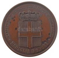 Olaszország 1868. "Mezőgazdasági és kereskedelmi minisztérium - Becsület érem" bronz díjérem, hátoldalán névre szóló gravírozással, eredeti dísztokban (36mm) T:AU,XF patina, karc, a tok viseltes Italy 1868. "Ministero D'Agricoltura Indus e Commercio - Medaglia D'Onore" bronze commemorative medallion with name engraving on the back, in original case (36mm) C:AU,XF patina, scratch, worn case