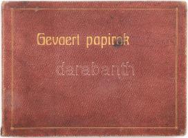 cca 1910 Gevaert papirok, L. Gevaert &amp; Cie R. T., igazgató: Hackl Károly. Fotópapír-mintakatalógus, különböző papírokra (Blue Star, Ridax, Orthobrom) előhívott képekkel, 16x11,5 cm méretben, össz. 16 db. Kissé viseltes egészvászon-kötésű albumban, sérülésekkel, a lapokon tollas bejegyzésekkel.