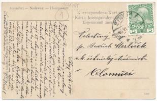 1910 Stryi, Stryj, Strij; Ulica Goluchowskiego, Fryzyer, A. Müller Syn / street, hairdresser, shops