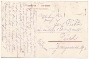 Stryi, Stryj, Strij; Rynek, Restauracya i Piwiarnia, Apflegrun / Ringplatz / square, shops, restaura...