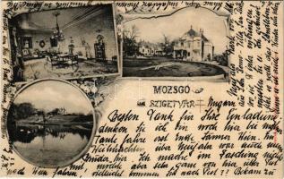 1905 Mozsgó (Szigetvár), Biedermann kastély, belső. Fénynomat Divald műintézetéből Art Nouveau, floral (EK)