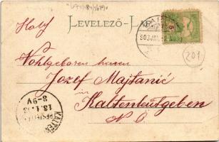 1903 Barcs, Hotel Garni szálloda. Skribanek Géza kiadása (ázott sarok / wet corner)