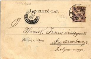 1900 Tata, Tata-Tóváros; Tóvárosi részlet (EB)