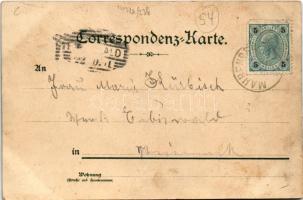 Radlje ob Dravi, Deutschen Mahrenberg; Verlag von Josef Schober (fl)