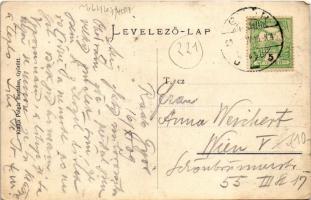 1909 Győr, Erzsébet tér a Rába felől, híd, Pannonia könyvnyomda, "VIHAR" csónak. Polgár Be...