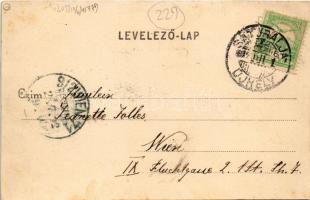 1902 Sátoraljaújhely, Fő utca, Hotel Vadászkürt szálloda, Lövy Adolf üzlete és saját kiadása (fl)