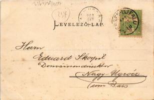 1903 Nyergesújfalu, Nyerges-Újfalu; látkép, Millenniumi emlékmű, templom. Kardos Dezső felvétele és ...