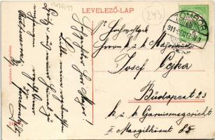 1911 Zombor, Sombor; a város madártávlatból, üzletek. Kaufmann Emil kiadása / general view, shops (E...