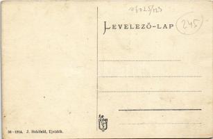 Újvidék, Novi Sad; Petőfi utca, villamos. J. Hohlfeld kiadása / street view, tram (fl)