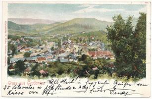 1901 Gracanica, general view. Alleinverlag M. Kohn, Hotelier (tear)