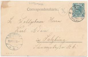 1908 Lasko, Tüffer; Villa Sann, Mühlhof Hotel. Verlag Josefine Zink, Art Nouveau, floral (EK)