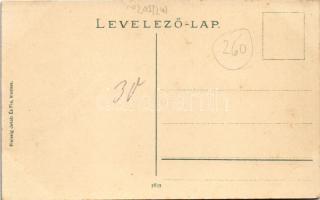 Fogaras, Fagaras; Megyeháza, Leány polgári iskola. Fleissig Jakab és Fia kiadása / Komitat-Haus, Mäd...