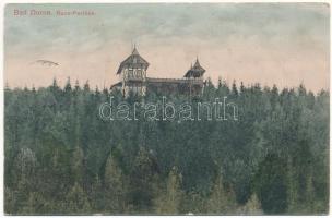 1908 Vatra Dornei, Dornavátra, Bad Dorna-Watra (Bukovina, Bucovina, Bukowina); Runc-Pavillon / spa pavilion (wet damage)