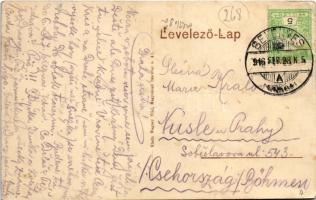 1916 Belényes, Beius; látkép. Wagner Villi kiadása / general view (EK)