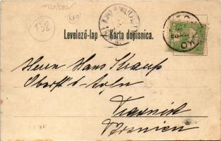 Topuszka, Topusko; Blatna kupka / spa (EB)