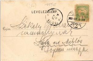 1902 Temesvár, Timisoara; Szent György tér, villamos, Varneky A. üzlete / square, tram, shops (fl)