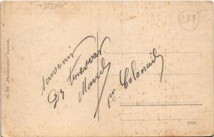 Temesvár, Timisoara; Józsefváros, kilátás a víztoronyból / Josefstadt, Blick vom Wasserturm / Iosefi...