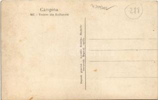 Campina, Vedere din Raffinerie / Petroleum refinery (fl)