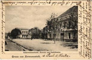 1903 Nagyszeben, Hermannstadt, Sibiu; Naturwissenschaftl. Museum und Stadttheater / Természettudományi múzeum, színház / museum of natural sciences, theatre (EK)