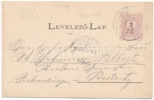 1899 (Vorläufer) Kiskapus, Kis-Kapus, Kleinkopisch, Copsa Mica; Vasútállomás / railway station (kis ...