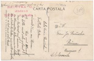 Bucharest, Bukarest, Bucuresti, Bucuresci; Palatul Regal / Royal Palace, horse-drawn carriages (fl)