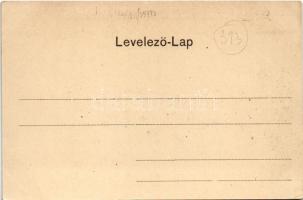 1903 Temesvár, Timisoara; Gyárváros, Andrássy út, villamos / street view, tram (EK)