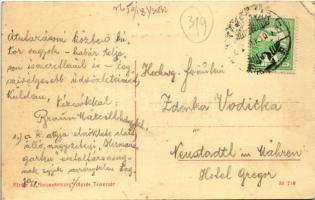 Temesvár, Timisoara; Hunyady út / Hunyady Strasse / street view (EK)