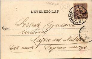 1901 Temesvár, Timisoara; Takarékpénztár utca, Probst Adolf utódai, Varneky A. üzlete. Polatsek kiad...