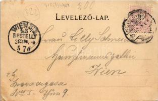 1899 (Vorläufer) Temesvár, Timisoara; Jenő herceg tér, emlékmű. Hans Nachbargauer kiadása / square, ...