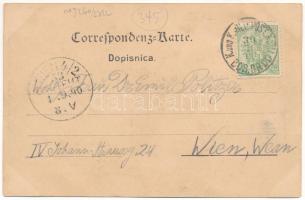 1900 Bosanski Brod, street view, monument, tobacco shop (fl)