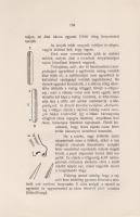 Palágyi Menyhért:
Székely Bertalan és a festészet aesthetikája.
Budapest, 1910. Eggenberger-féle k...