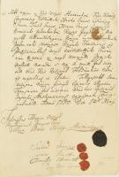 1750 Határbejárás, (Solt)Vadkert és (Nagy)-Bócsa között, br. Orczy Lőrinc (1718-1789) főispán, tábor...