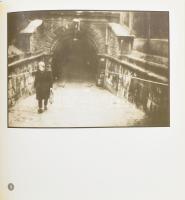 Lábass Endre: A táj. Bp., 1993, Budapest Főváros Önkormányzata Főpolgármesteri Hivatala. Gazdag feke...