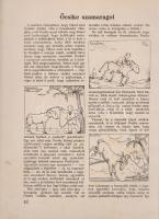 Benedek Elek:
Öcsike levelei az ő nadselü gondolatairól. Róna Emy rajzaival.
Budapest, (1926). Dan...