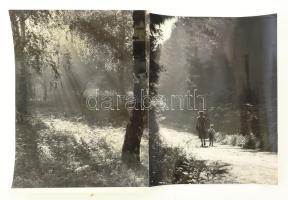 Janger Károly (?-?): Nyírfaliget + Séta, 2 db hátoldalon feliratozott vintage fotó, 21×16,5 cm