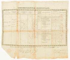 1850 Érsekújvár Tanítóképző intézeti bizonyítvány. Nagy méretű rézmetszetes oklevél 47x42 cm Szakadásokkal
