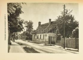 Mezősi Károly: Petőfi és családja Dömsödön. Petőfi emlékhelyek Pest Megyében. Pest Megyei Múzeumi Fü...