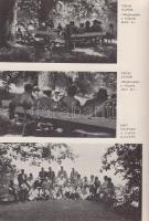 Séta bölcsőhelyem körül. Erdélyi képeskönyv. Szerkesztette Kovács László. [Erdély íróinak vallomása ...