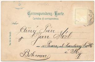 Gorizia, Görz, Gorica; Via del Duomo / street view, shop (EB)