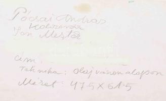 Pócsai András (1934-2021): Kolozsvár, Malomárok. Olaj, vászon. Jelezve jobbra lent. 64x51 cm. Dekora...