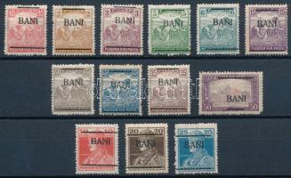 Borosjenő 1919 13 klf bélyeg / private stamps
