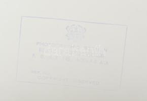 1973 Ghána, Losonczi Pál magyar államfő látogatásáról készült 41 db fotó. 26x23 cm