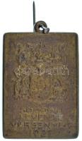 1927. "Somogyi Levente Versenyek 1927" kétoldalas bronz medál, "ARKANZAS BUDAPEST&quo...