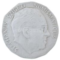 Renner Kálmán (1927-1994) 1966. Szigeti István, numizmatikus 60. születésnapjára készült emlékplaket...