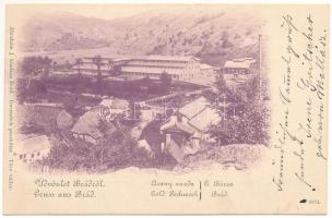 1900 Brád, Arany zúzda. Ábrahám J. kiadása / Gold Pochwerk / gold mine