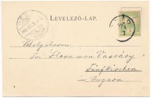 1900 Brád, Arany zúzda. Ábrahám J. kiadása / Gold Pochwerk / gold mine