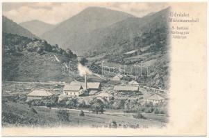 Batiza, Botiza (Máramaros); A fűrészgyár látképe, fűrésztelep, fatelep. Kiadja Mayer és Berger 111. / sawmill, factory