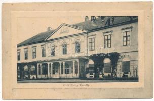 1917 Füles, Nikitsch; Gróf Zichy kastély / castle / Schloss (fl)