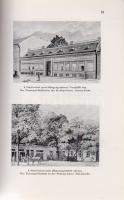 Kotlán Sándor:
A magyar állatorvosképzés története 1787-1937. A M. Kir. József nádor Műszaki és Gaz...